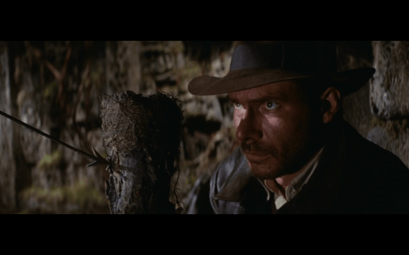 Raiders of the Lost Ark - 100
