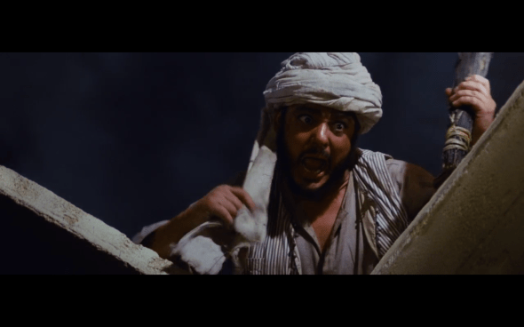 Raiders of the Lost Ark - 1119