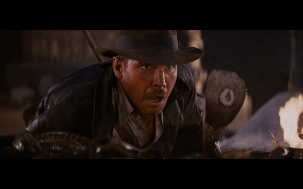 Raiders of the Lost Ark - 1194