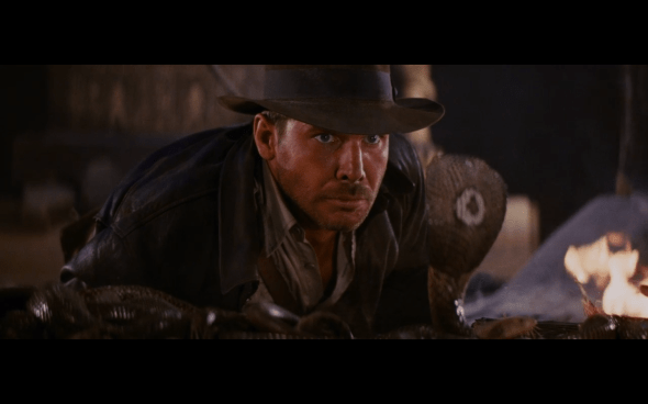 Raiders of the Lost Ark - 1195