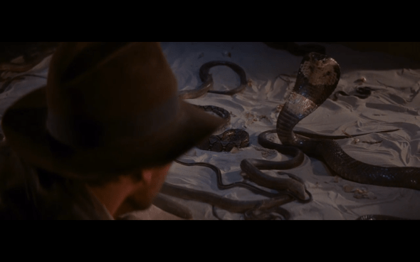 Raiders of the Lost Ark - 1196