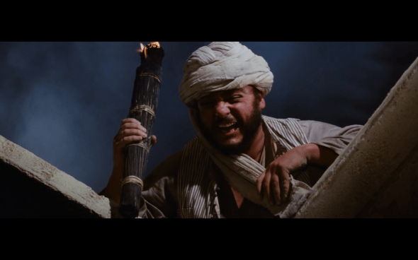 Raiders of the Lost Ark - 1198