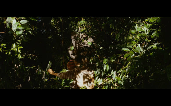 Raiders of the Lost Ark - 12