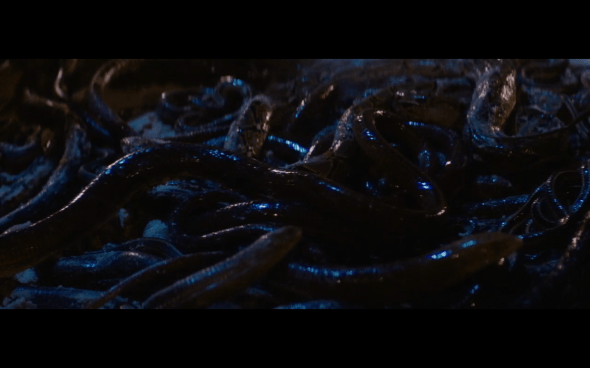 Raiders of the Lost Ark - 1213