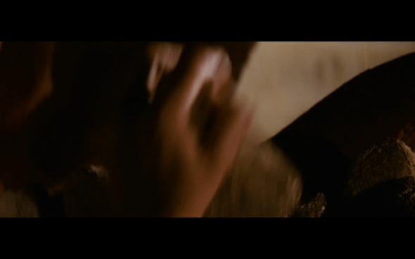 Raiders of the Lost Ark - 1343