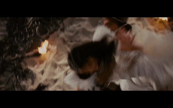 Raiders of the Lost Ark - 1349