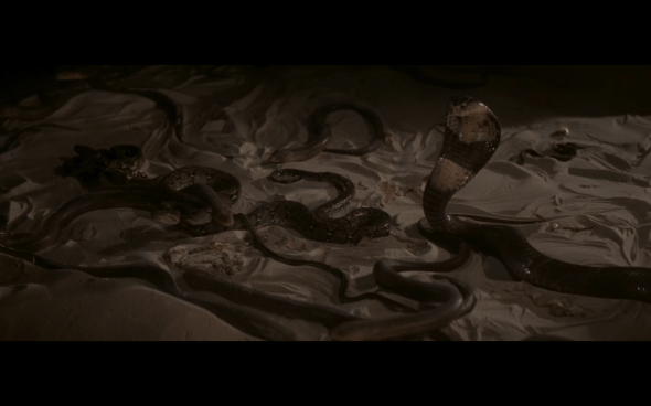 Raiders of the Lost Ark - 1371