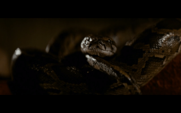 Raiders of the Lost Ark - 1398