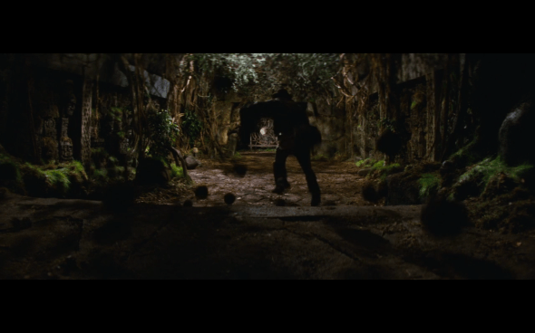 Raiders of the Lost Ark - 141