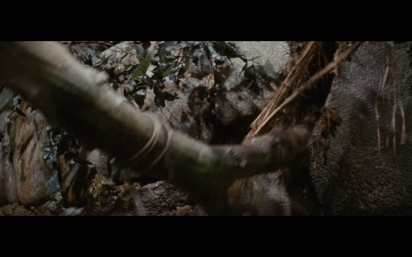 Raiders of the Lost Ark - 148