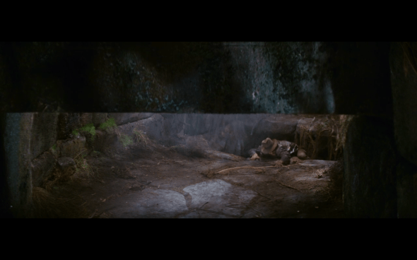 Raiders of the Lost Ark - 167
