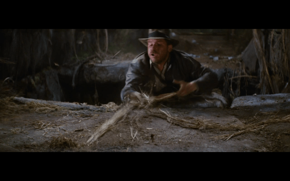 Raiders of the Lost Ark - 176