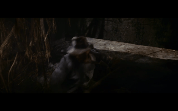 Raiders of the Lost Ark - 189