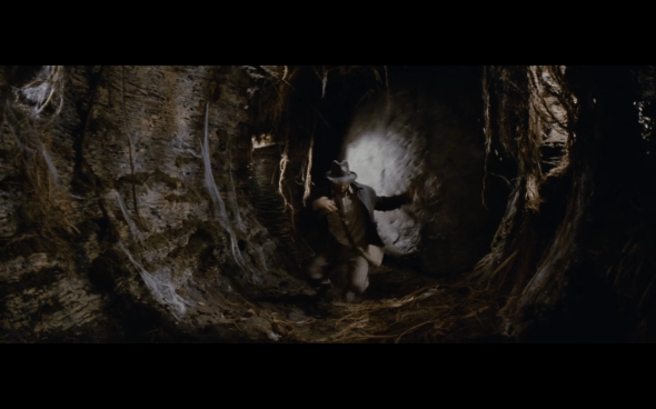 Raiders of the Lost Ark - 204