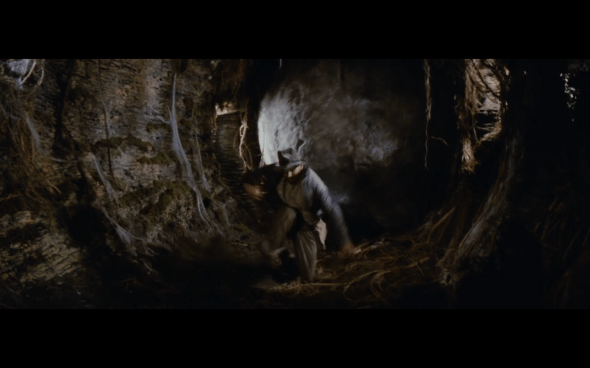 Raiders of the Lost Ark - 205