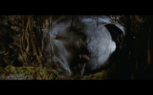 Raiders of the Lost Ark - 213
