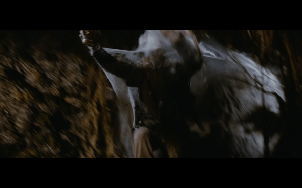 Raiders of the Lost Ark - 215