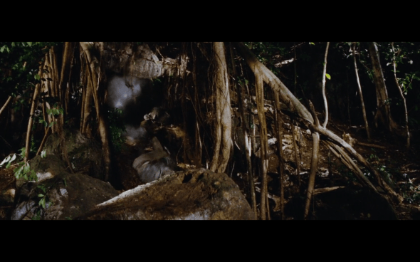 Raiders of the Lost Ark - 217