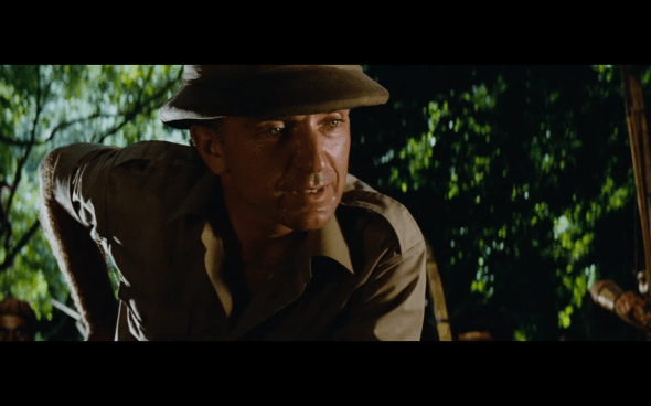 Raiders of the Lost Ark - 228