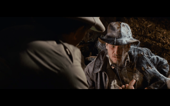 Raiders of the Lost Ark - 229