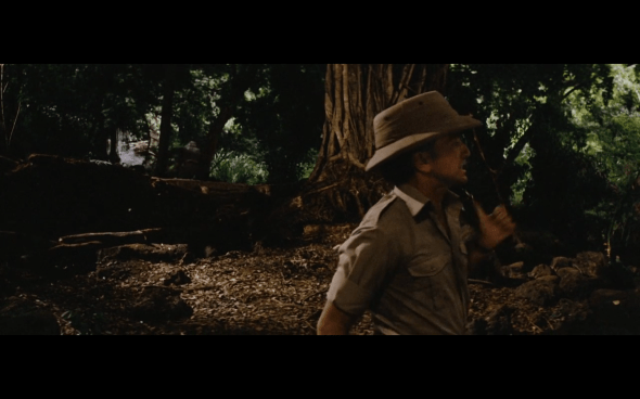 Raiders of the Lost Ark - 247