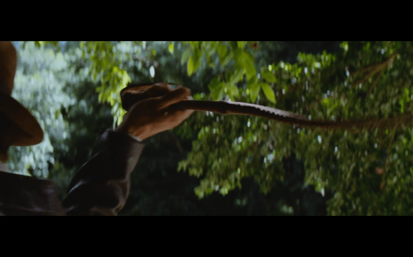 Raiders of the Lost Ark - 33