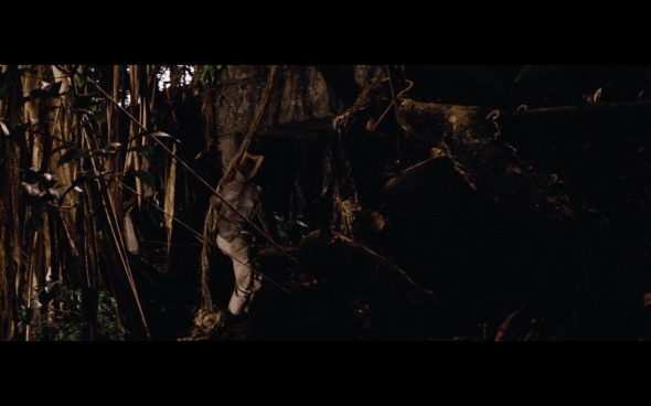 Raiders of the Lost Ark - 46