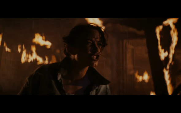 Raiders of the Lost Ark - 631