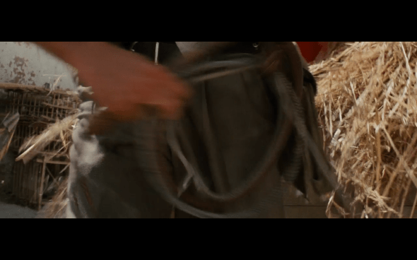 Raiders of the Lost Ark - 730