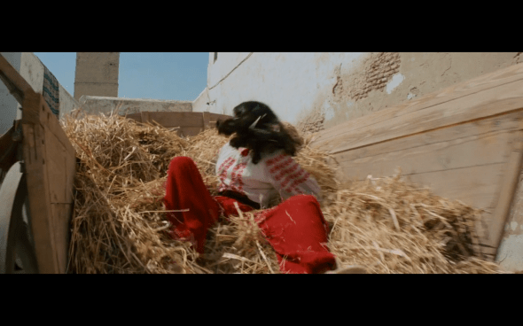 Raiders of the Lost Ark - 734