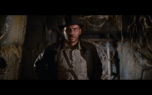 Raiders of the Lost Ark - 90