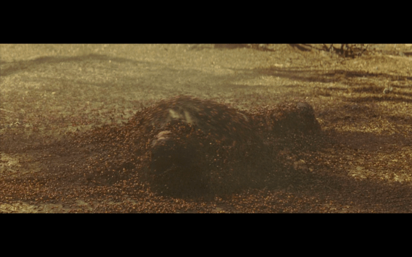 Indiana Jones and the Kingdom of the Crystal Skull - 1440