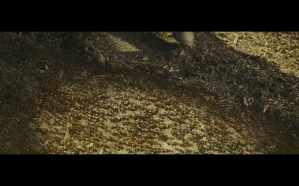 Indiana Jones and the Kingdom of the Crystal Skull - 1451