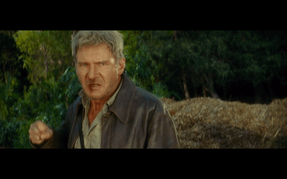 Indiana Jones and the Kingdom of the Crystal Skull - 1486