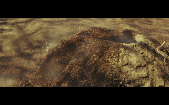 Indiana Jones and the Kingdom of the Crystal Skull - 1491