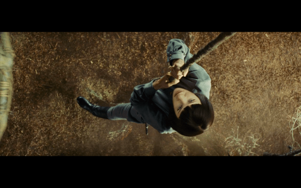 Indiana Jones and the Kingdom of the Crystal Skull - 1496