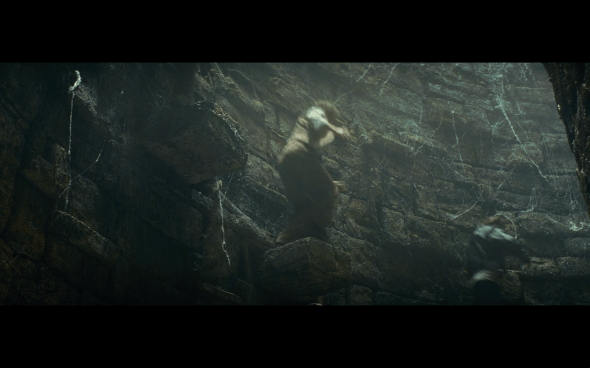 Indiana Jones and the Kingdom of the Crystal Skull - 1684