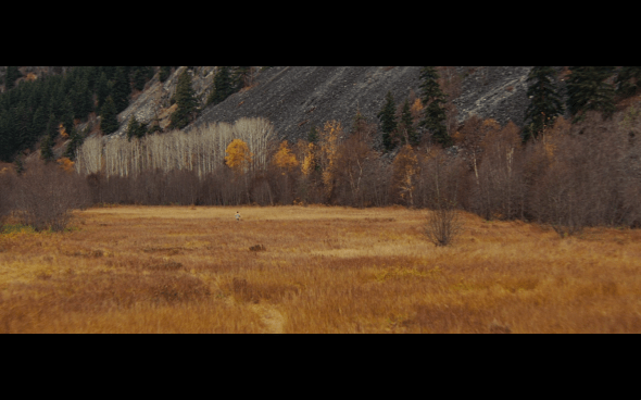 The Incredible Hulk - 1893