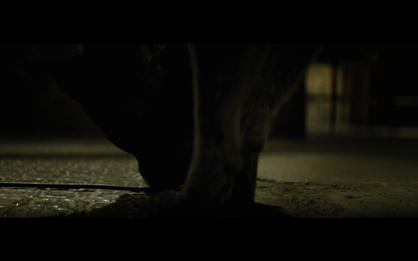 The Incredible Hulk - 289