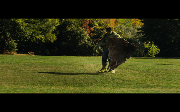 The Incredible Hulk - 983