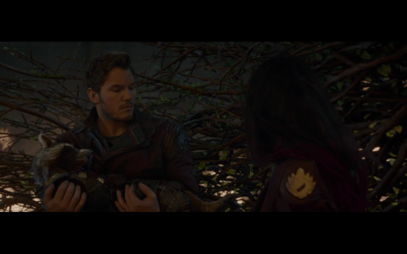 Guardians of the Galaxy - 2628