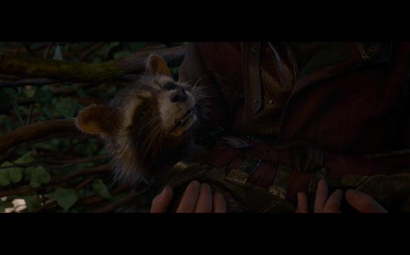 Guardians of the Galaxy - 2629