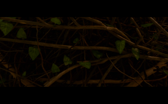 Guardians of the Galaxy - 2637