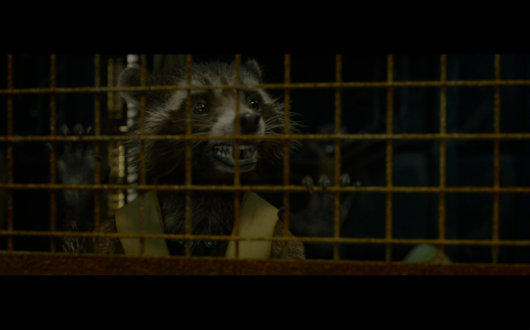 Guardians of the Galaxy - 716