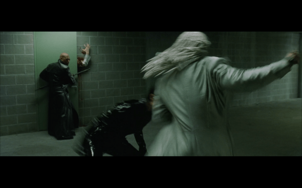 The Matrix Reloaded - 1238r