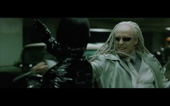 The Matrix Reloaded - 1238v