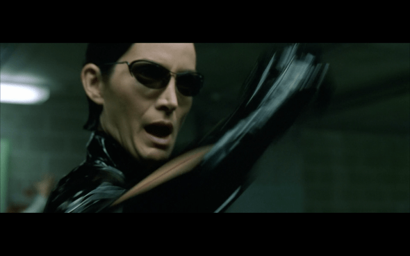 The Matrix Reloaded - 1238x