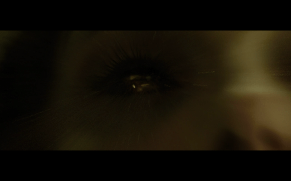 Thor The Dark World - 1326