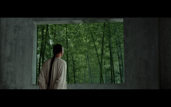 Crouching Tiger, Hidden Dragon - 45